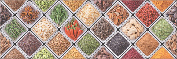 Zalakerámia dekorcsempe Zalakerámia Carneval ZANZIBAR F-62001 dekorcsempe