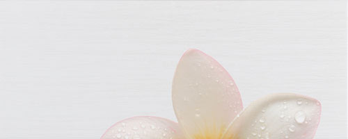 Zalakerámia dekorkép Zalakerámia Kendo SPA F-53021 dekorkép