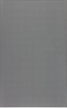 Zalakerámia Vario ZBK-677 falicsempe 25x40 cm