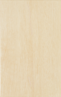 Zalakerámia Legno ZBD-42035 falicsempe